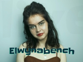 Elwynabench