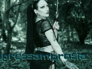 Empressambrosia