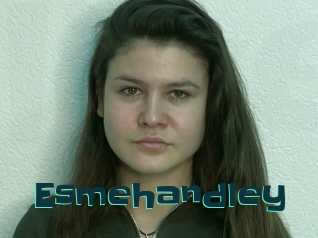 Esmehandley