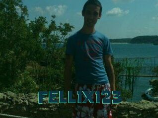 FELL1X123