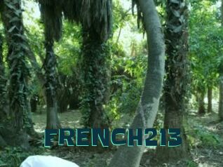 FRENCH213