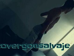 Flacovergonsalvaje