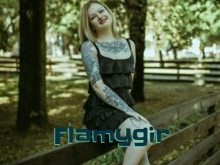 Flamygir
