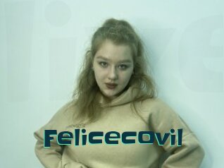 Felicecovil