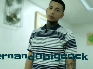 Fernandobigcock