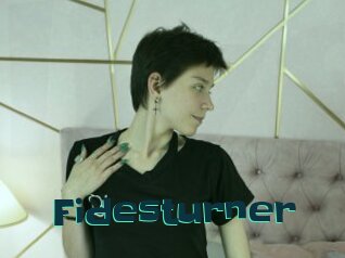Fidesturner