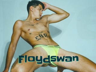 Floydswan