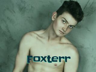 Foxterr