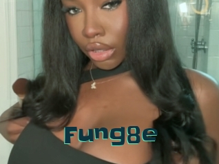 Fung8e