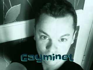 Gayminet