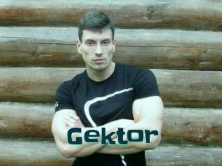 Gektor