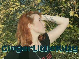 GingerLittleKitty