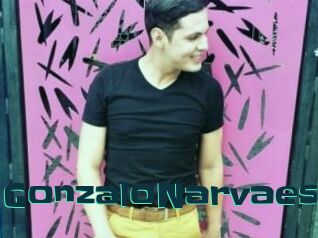 GonzaloNarvaes