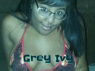 Grey_Ivy
