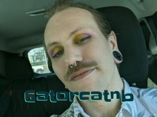 Gatorcatnb