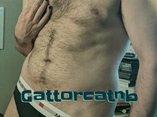 Gattorcatnb