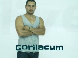 Gorilacum