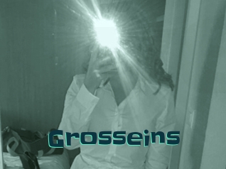 Grosseins