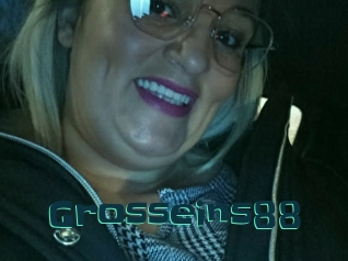 Grosseins88