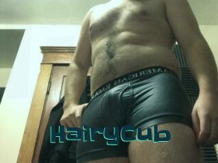 HairyCub