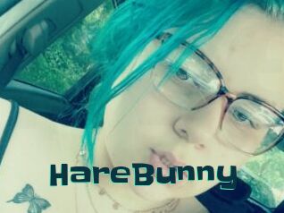 HareBunny