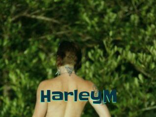 HarleyM
