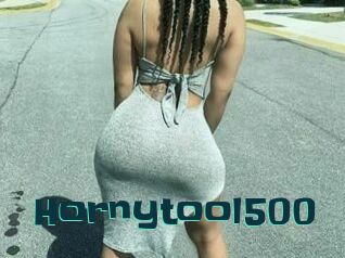 Hornytool500