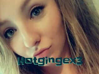 Hotgingex3