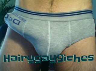 Hairygay9iches