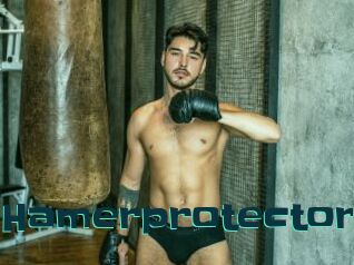 Hamerprotector