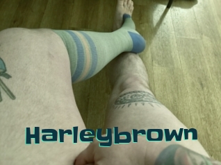 Harleybrown