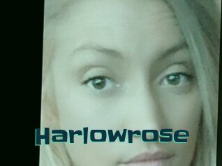 Harlowrose