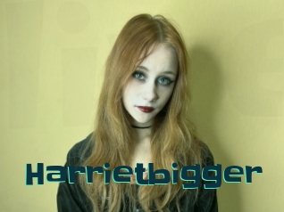 Harrietbigger