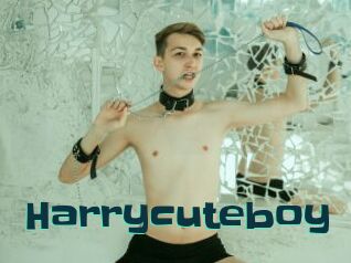 Harrycuteboy