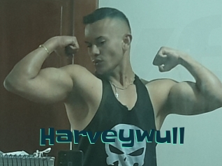 Harveywull