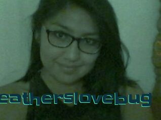Heatherslovebug