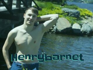 Henrybarnet