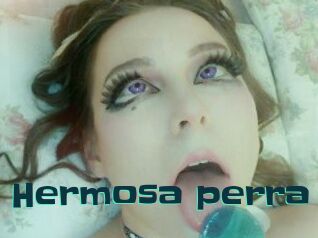 Hermosa_perra