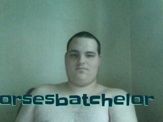 Horsesbatchelor