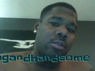 Hungandhandsome