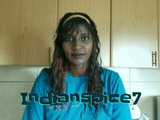 Indianspice7