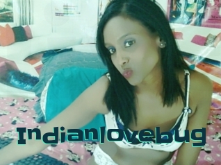 Indianlovebug