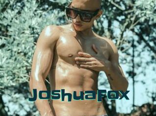 JoshuaFox