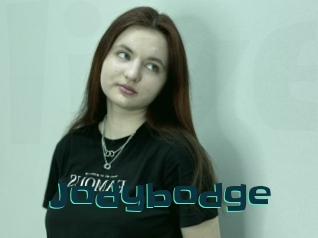 Jodybodge