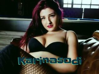 Karinasodi
