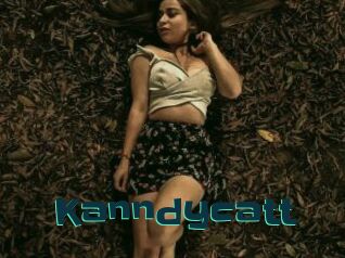 Kanndycatt