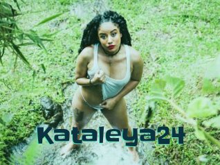Kataleya24