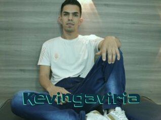 Kevingaviria