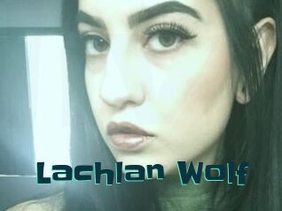 Lachlan_Wolf