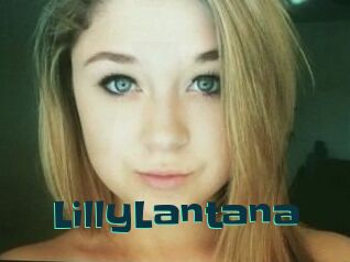 LillyLantana